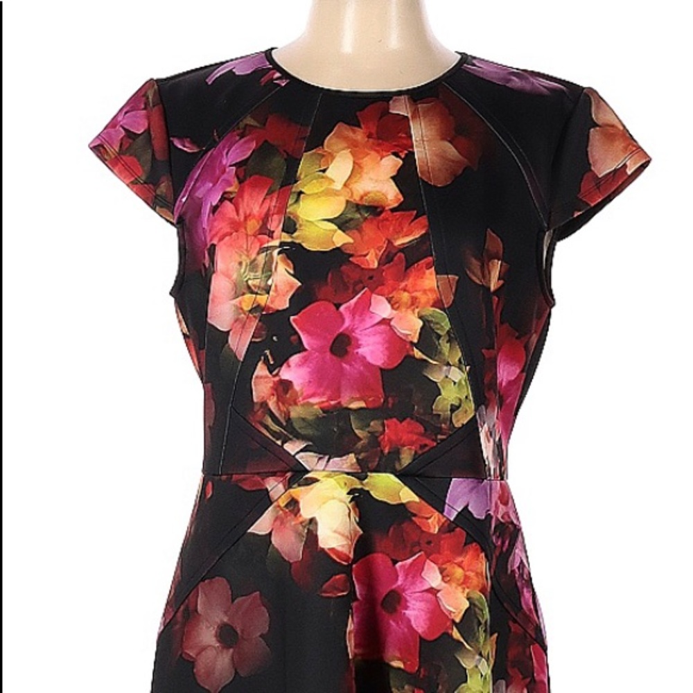 Ted Baker Embla floral skater Dress size 12 (5)